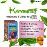Kambest Prostrate and Urine Infection capsules (30capsules)