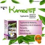 kambest typhoid and malaria capsule(30caps)