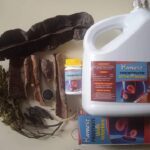 Kambest Prostrate and urine infection 1 month pack