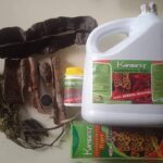 Kambest staphylococcus wiper pack for couple
